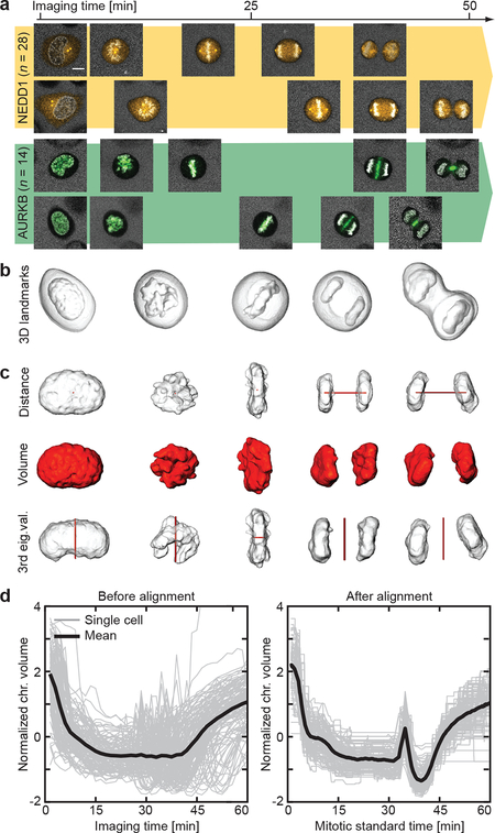 Figure 2 |