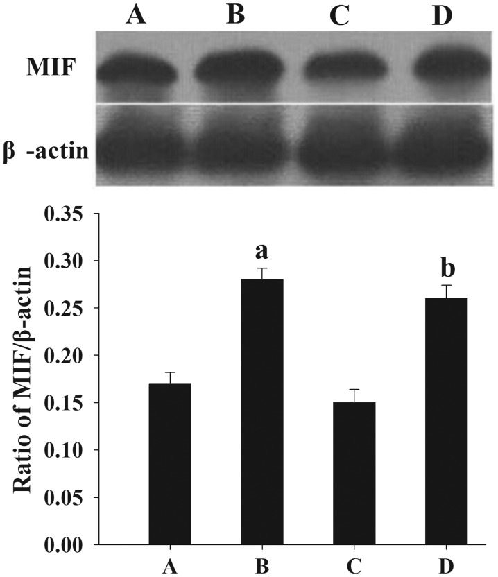 Figure 5.