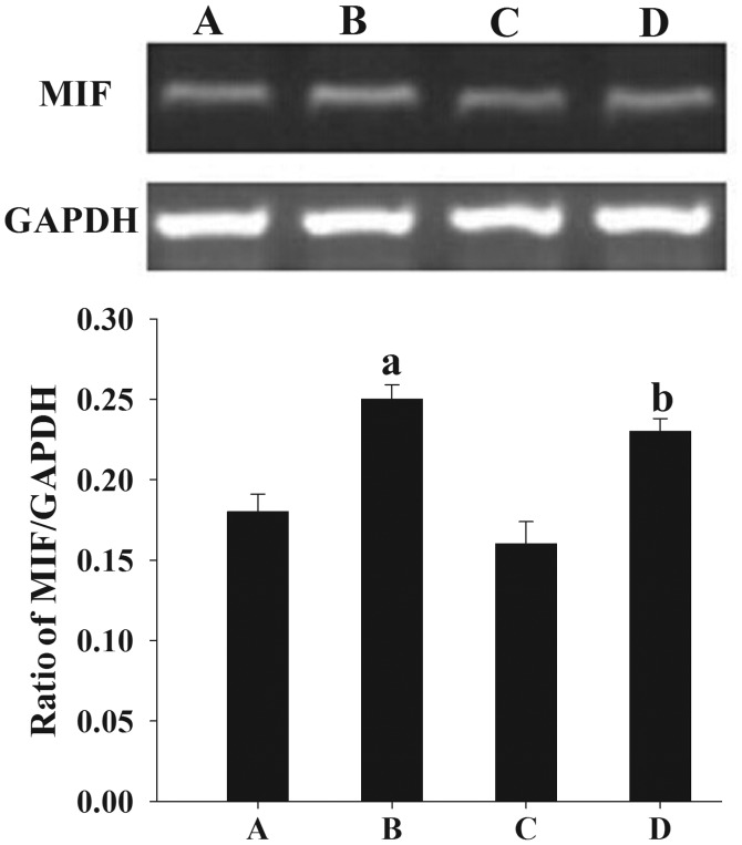 Figure 6.