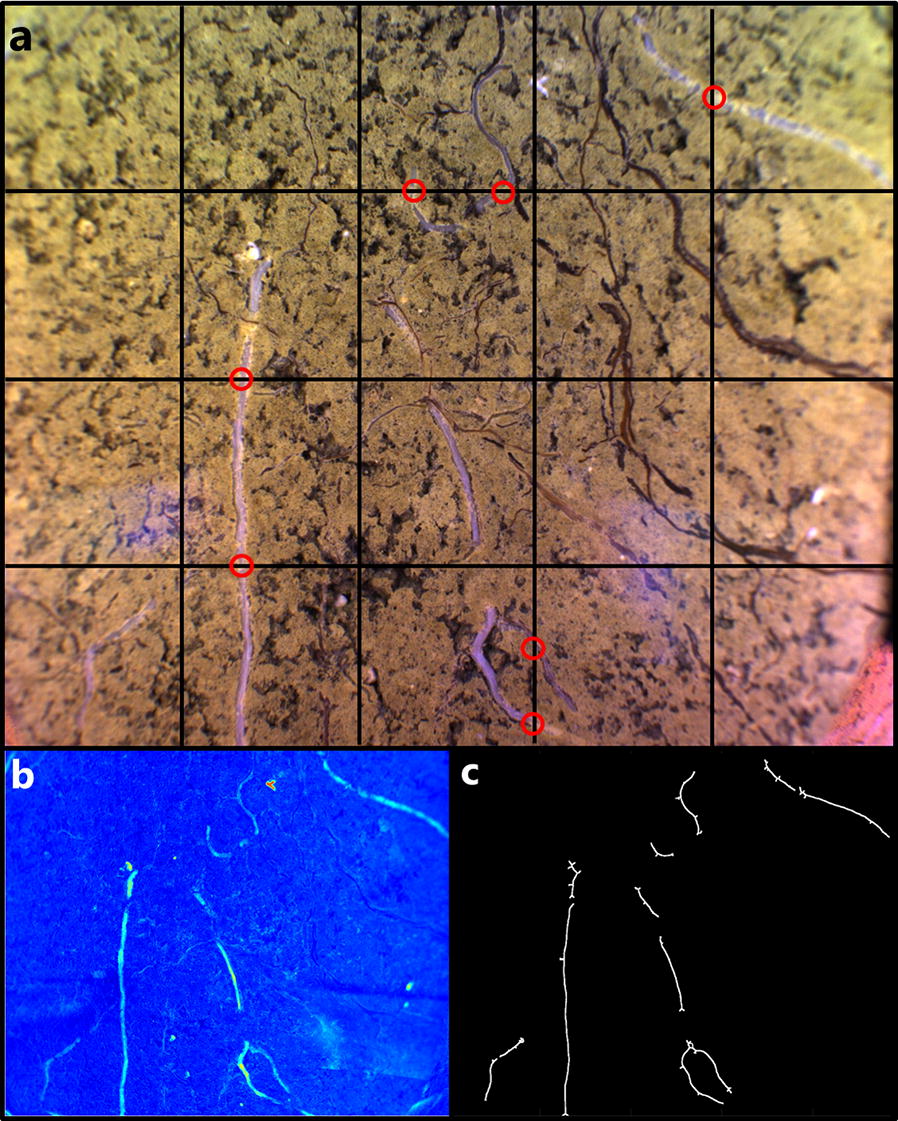 Fig. 10