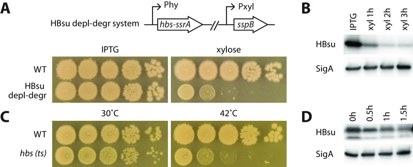 FIG 1