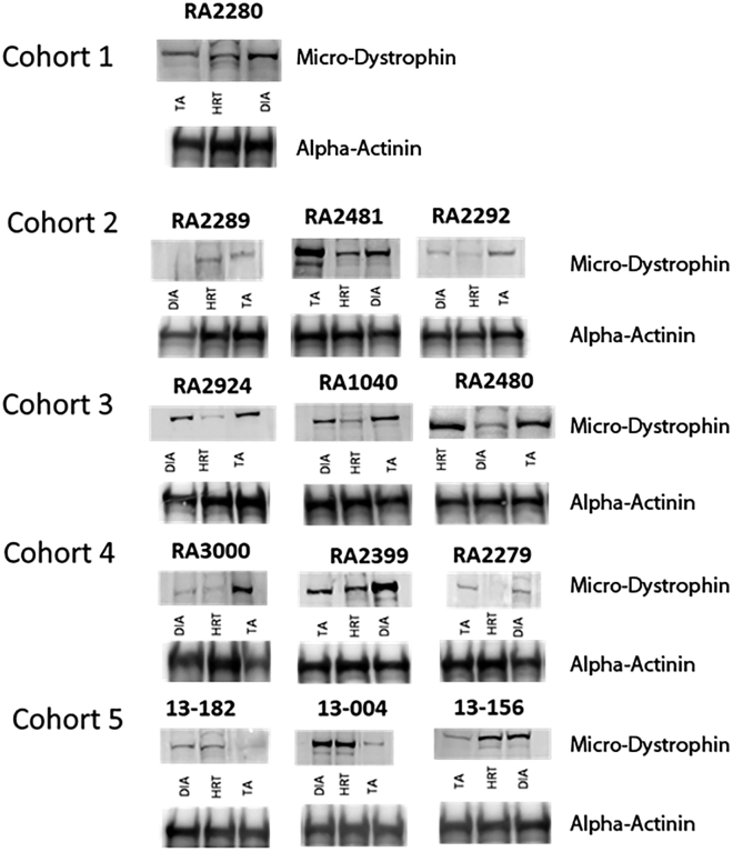 Figure 6