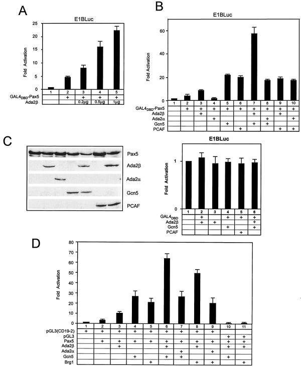 FIG. 6.