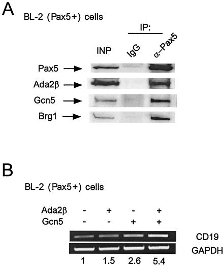 FIG. 7.