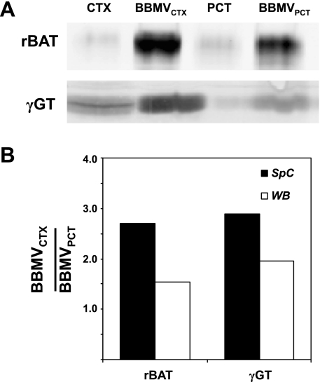 Fig. 9.