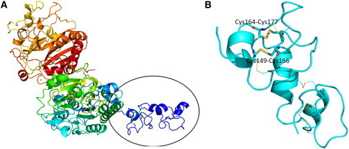 Figure 3