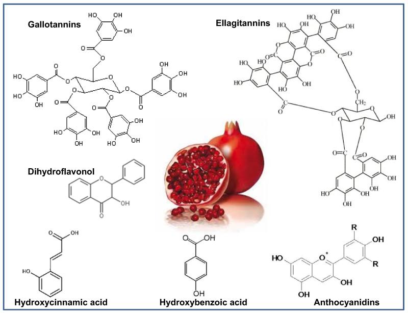 Fig. (1)