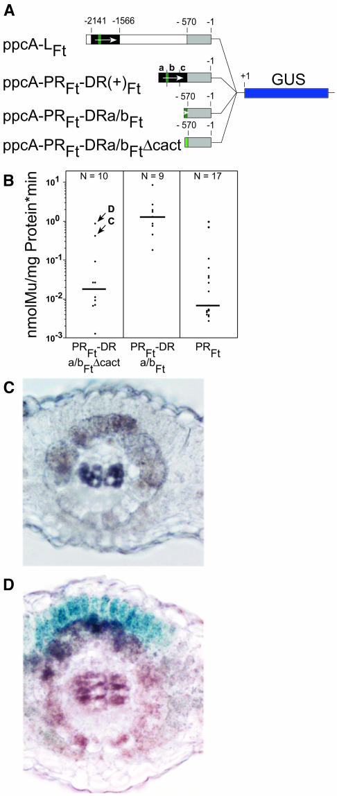 Figure 9.