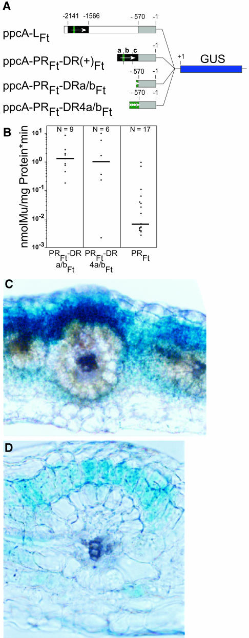 Figure 7.