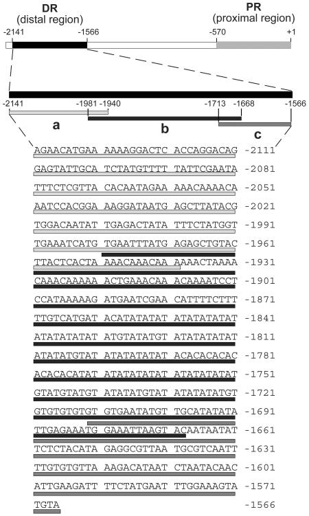 Figure 5.