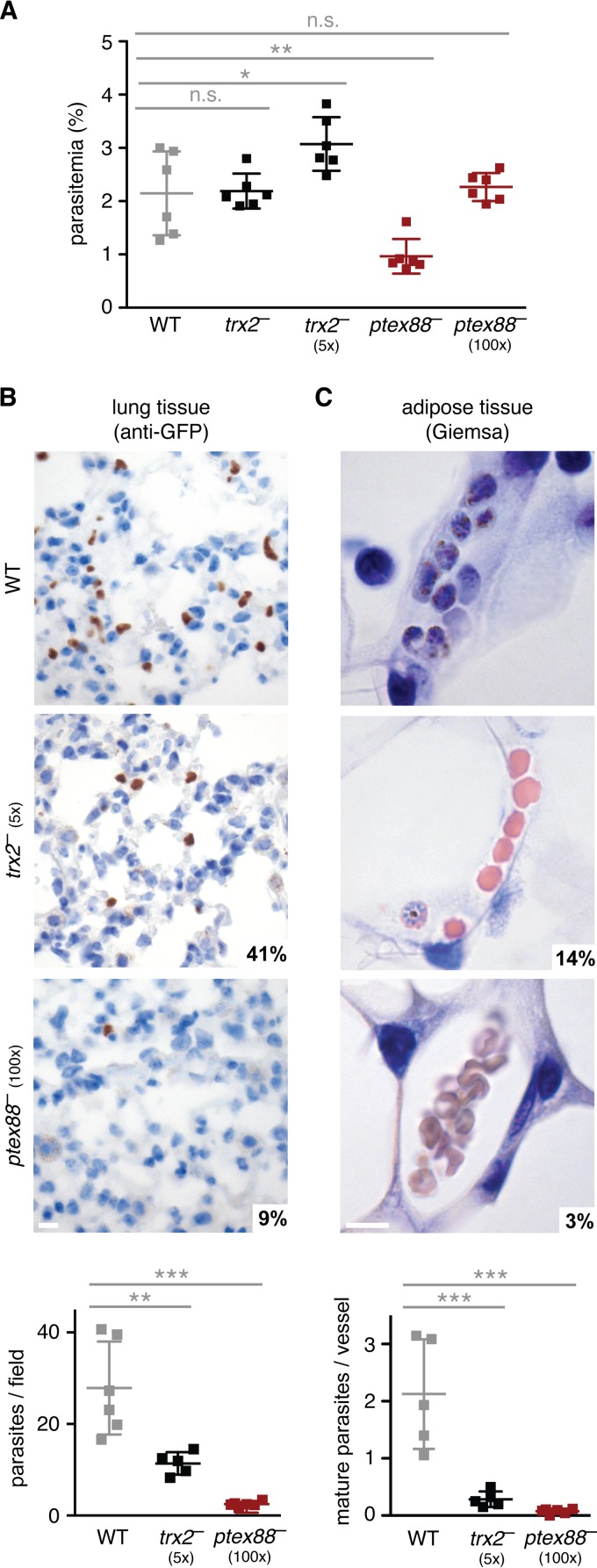 FIG 2