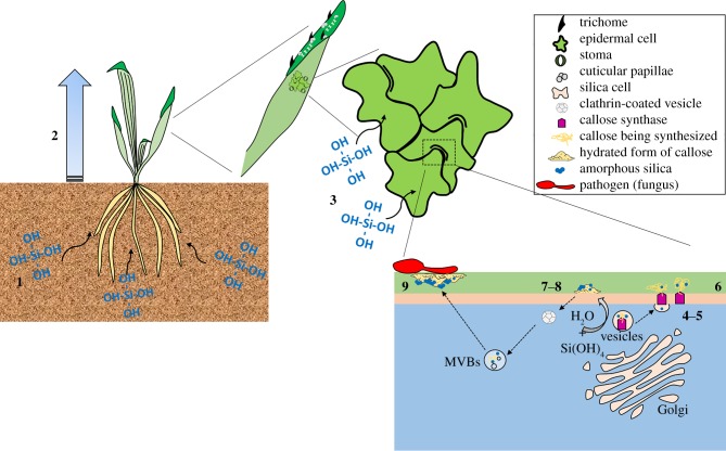 Figure 2.