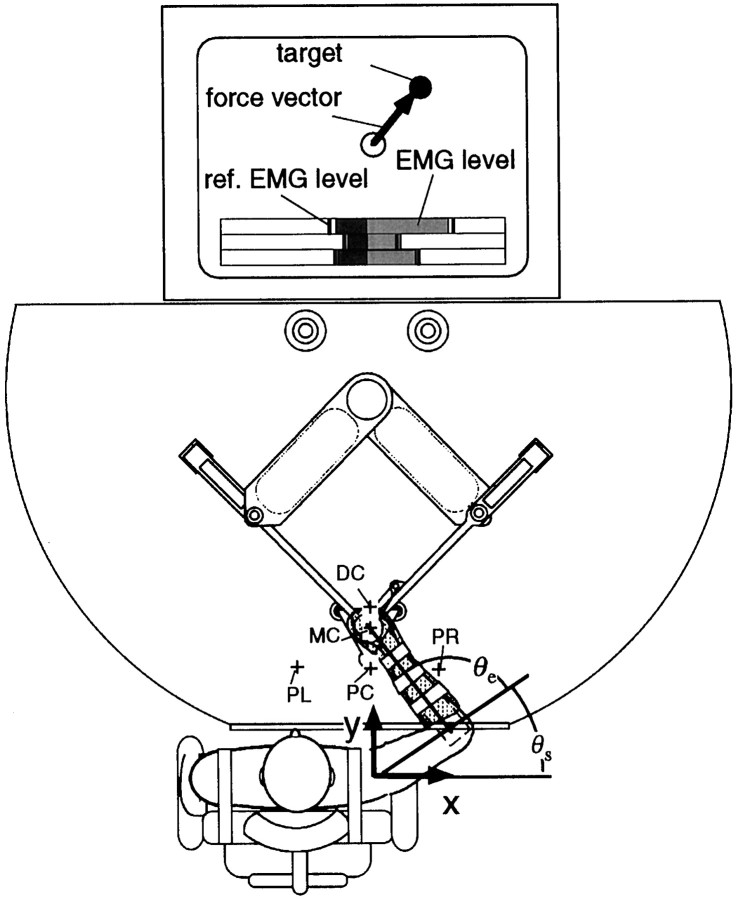 Fig. 1.