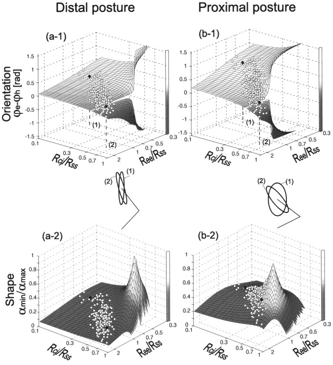 Fig. 11.