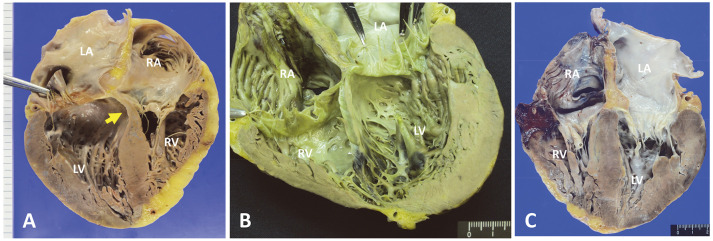 Figure 3.