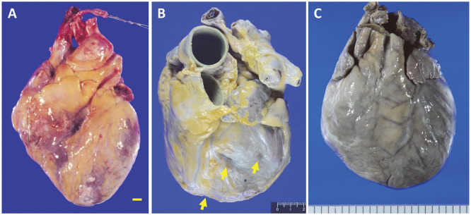 Figure 1.