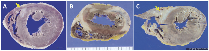 Figure 2.