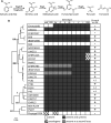 FIG 1