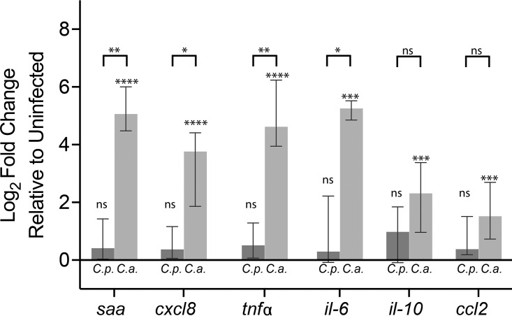 FIG 2