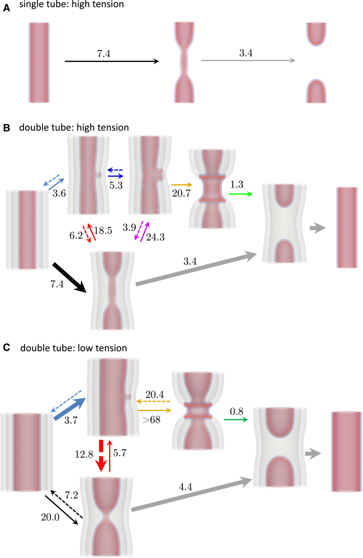 Figure 12