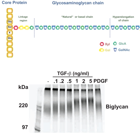 Fig. (1)