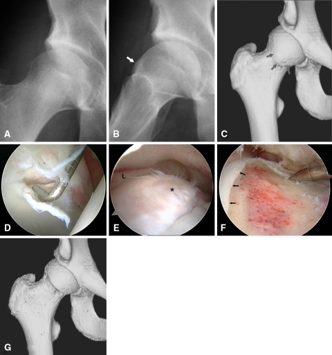 Fig. 2A–G