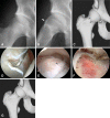 Fig. 2A–G