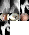 Fig. 3A–G