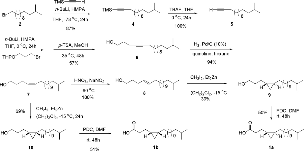 Scheme 2