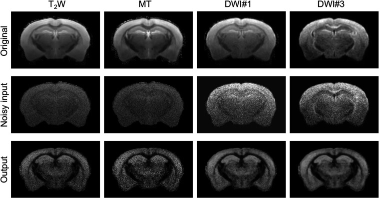 Figure 2—figure supplement 1.