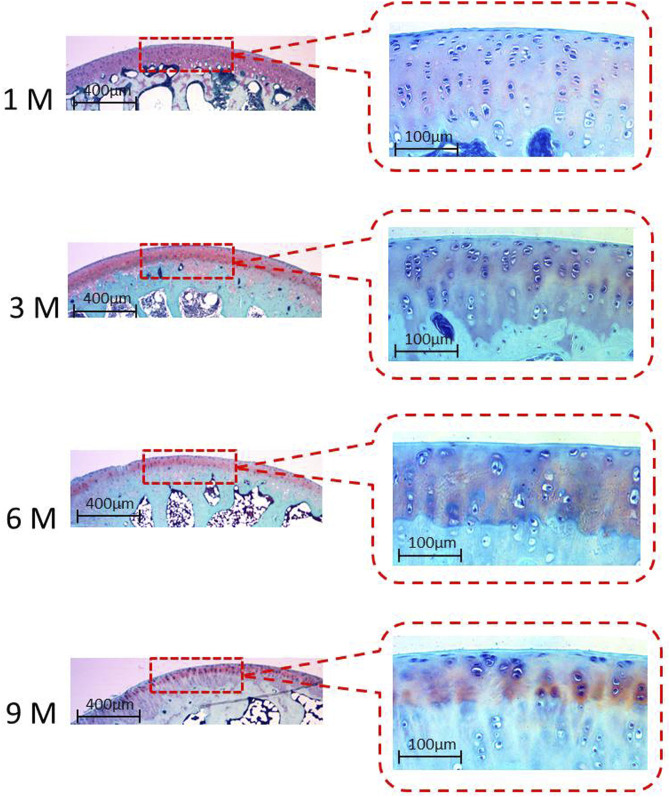 FIGURE 3