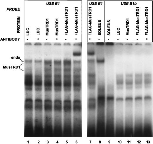 FIG. 7