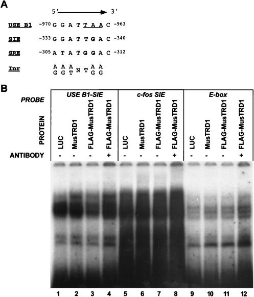 FIG. 8