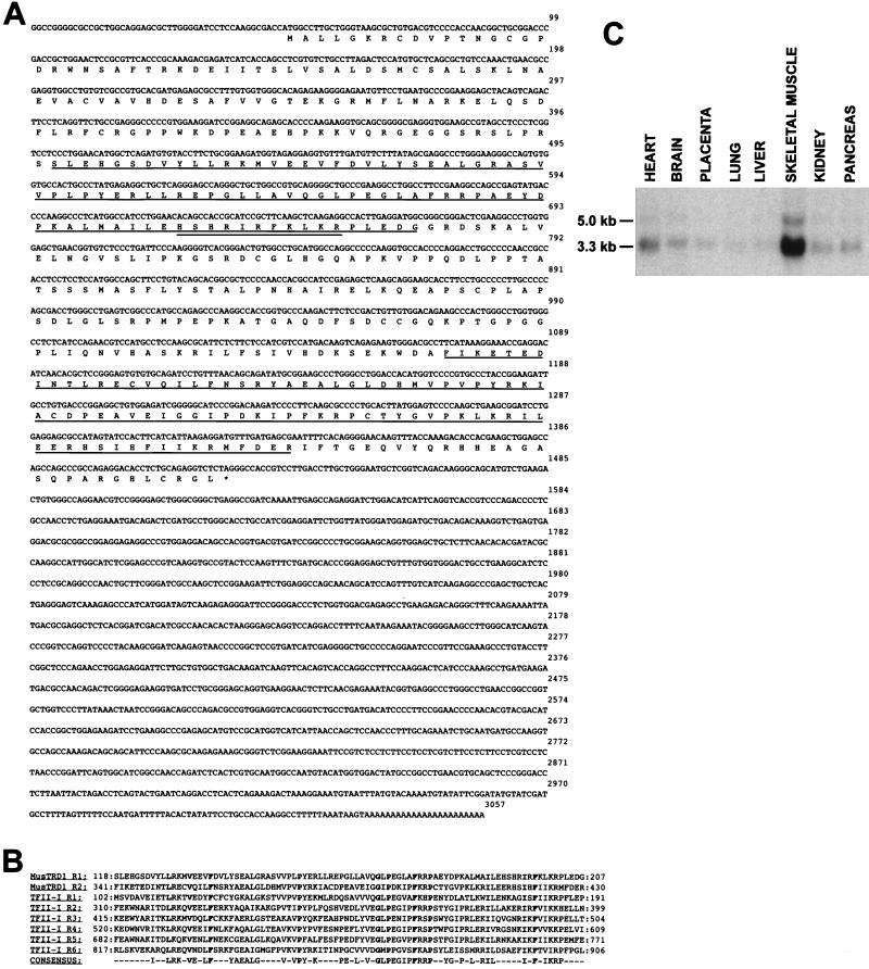 FIG. 6