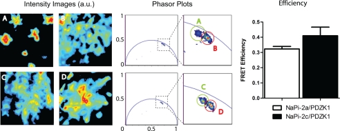 FIGURE 7.