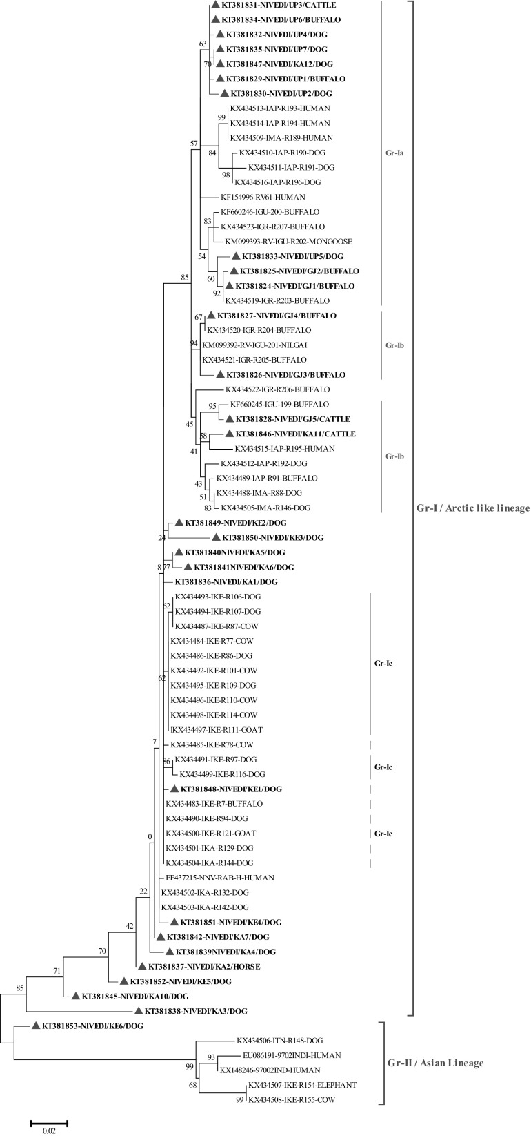 Fig. 2