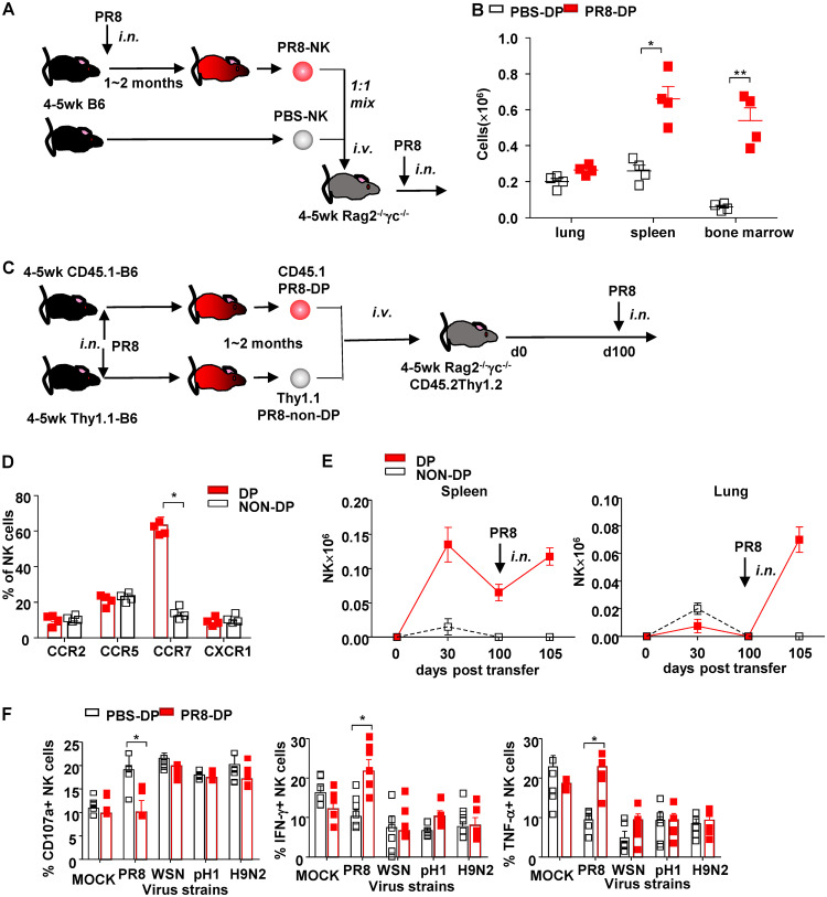 FIG 6