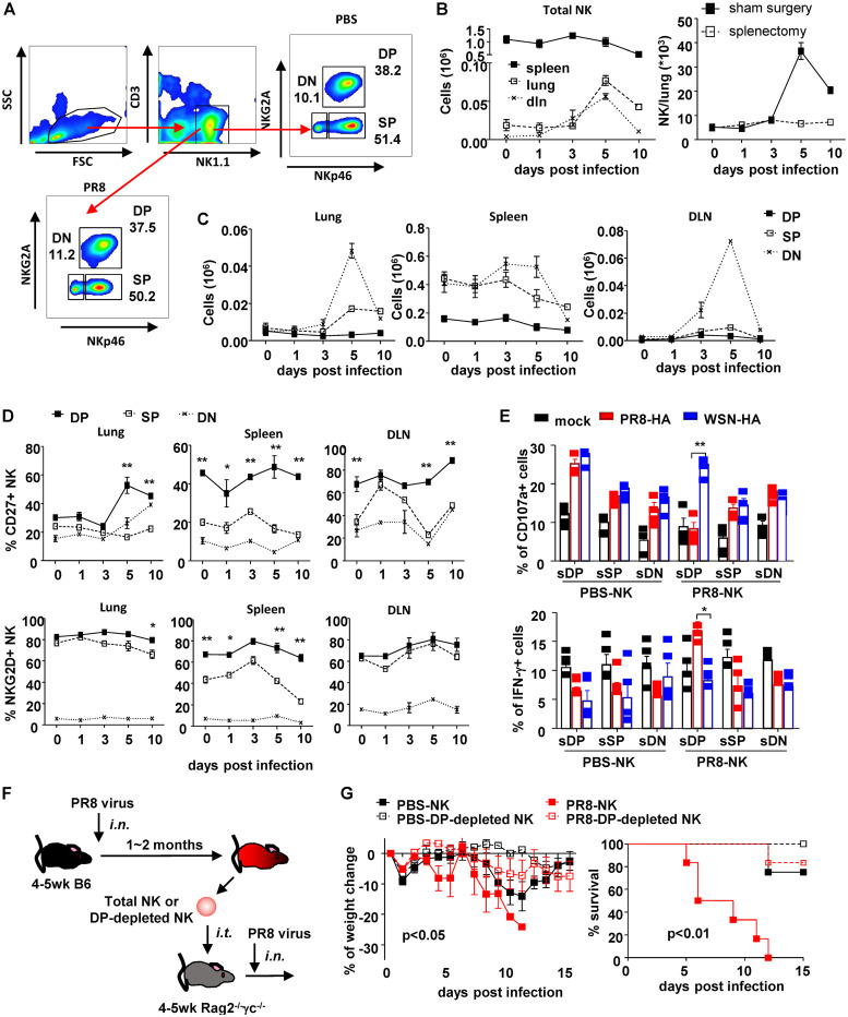 FIG 3