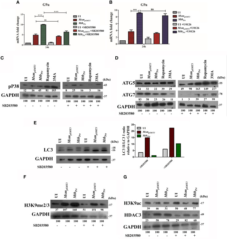 Figure 4