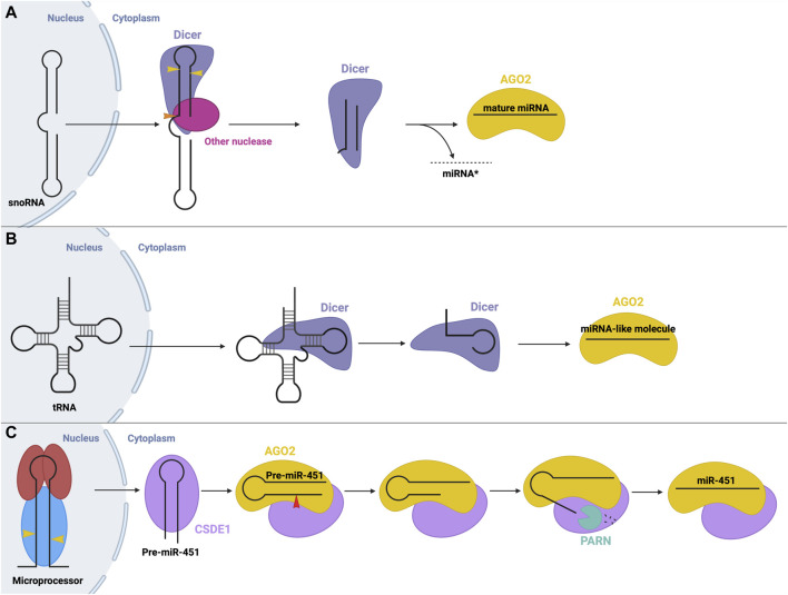 FIGURE 6