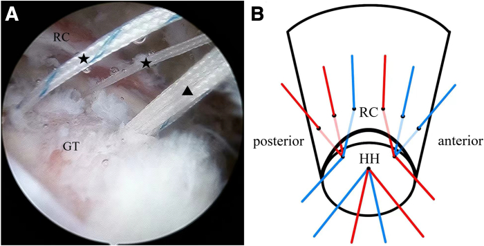 Fig 5