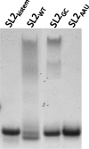 FIGURE 3.