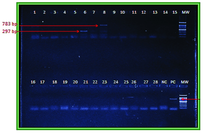 [Table/Fig-2]: