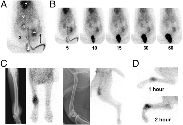 Fig. 5.