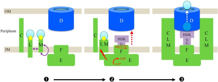 Figure 5.