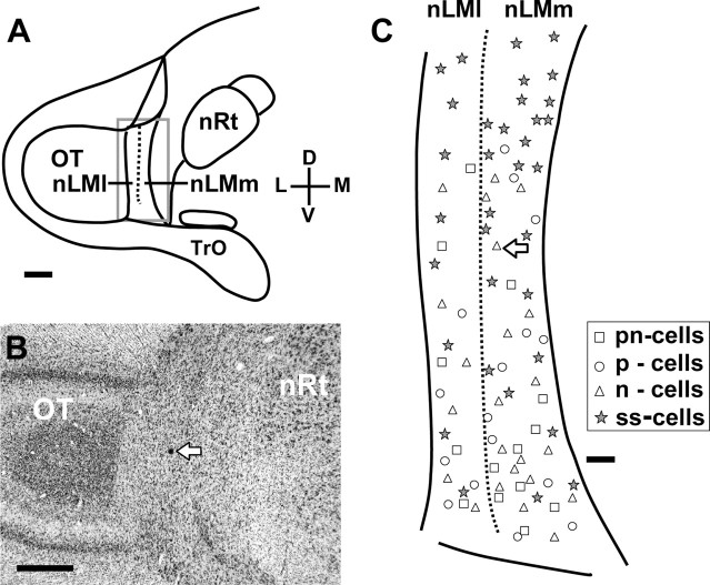 
Figure 9.
