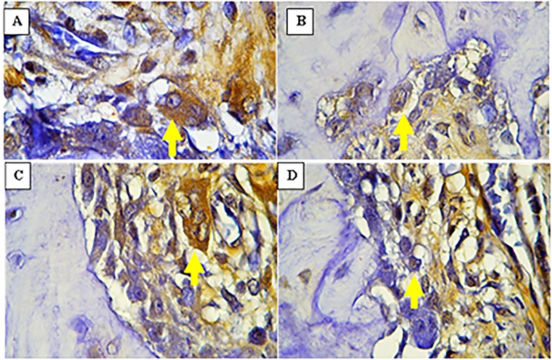 Figure2