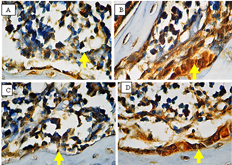 Figure1