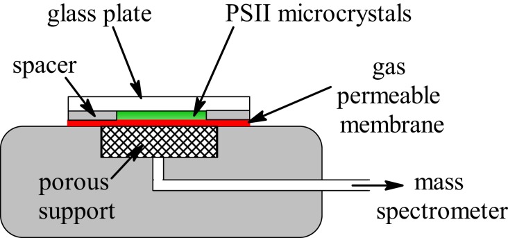 Fig. 2.