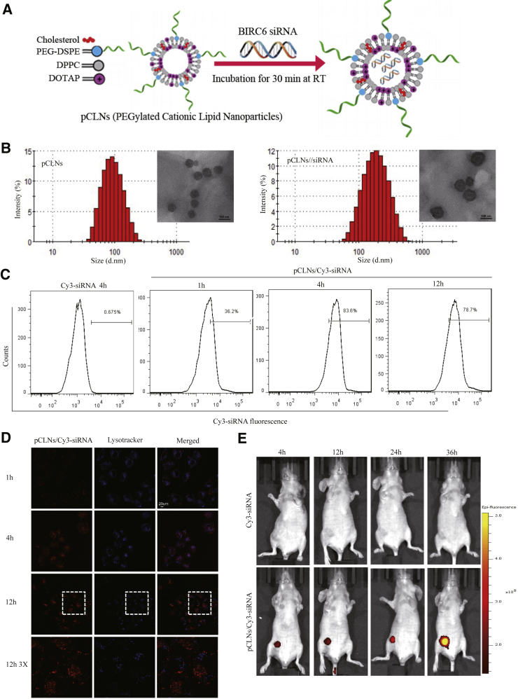 Figure 6